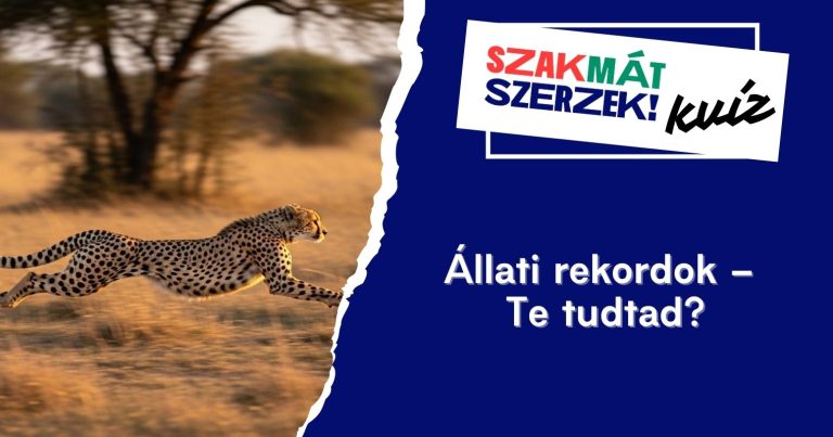 Állati rekordok – Te tudtad?